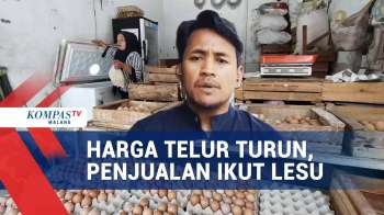 Harga Telur Ayam Turun, Penjualan Lesu