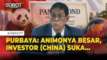 Menkeu Purbaya Beber Minat Investor China Tinggi Terkait Panda Bond, Singgung Rupiah-Dolar