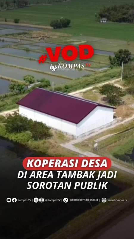 KOPERASI DESA DI AREA TAMBAK JADI SOROTAN PUBLIK