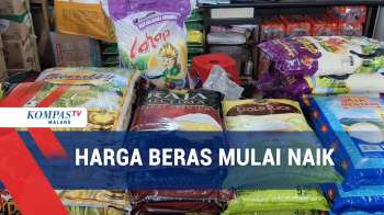 Harga Beras Mulai Naik, Telur Dan Daging Ayam Potong Turun