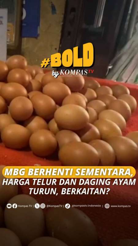 MBG BERHENTI, HARGA TELUR DAN DAGING AYAM TURUN