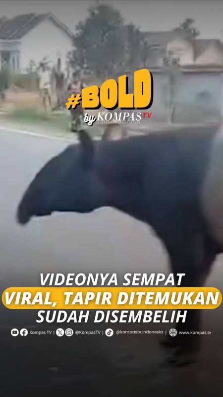 VIDEONYA SEMPAT VIRAL, TAPIR DITEMUKAN SUDAH DISEMBELIH