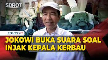 Jokowi Buka Suara Soal Ritual Injak Kepala Kerbau Di Lampung