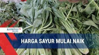 Sempat Turun Drastis, Harga Sayur Perlahan Mulai Naik