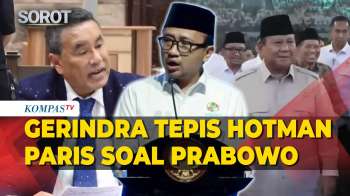 Gerindra Tepis Hotman Paris Di Kasus Febrie: Presiden Tak Pernah Intervensi Hukum