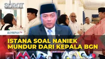Istana Ungkap Alasan Naniek S Deyang Mundur Dari Kepala BGN