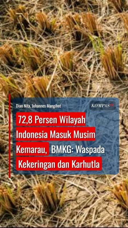 72,8 Persen Wilayah Indonesia Masuk Musim Kemarau, BMKG: Waspada Kekeringan dan Karhutla
