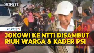 jokowi-kunjungi-kupang-ntt-disambut-riuh-kader-psi-warga