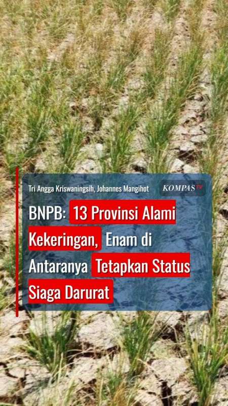 BNPB: 13 Provinsi Alami Kekeringan, 6 di Antaranya Tetapkan Status Siaga Darurat