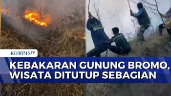 Kebakaran Hutan Melanda Bromo, Jalur Wisata Taman Nasional Bromo Tengger Semeru Ditutup