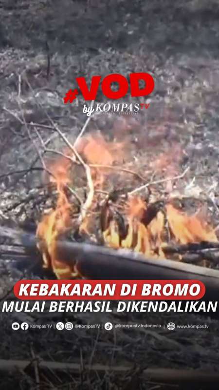 KEBAKARAN DI BROMO MULAI BERHASIL DIKENDALIKAN