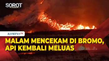 Bromo Kembali Membara, Angin Kencang Bawa Api Melintasi Savana