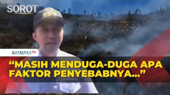 Kebakaran Gunung Bromo Meluas, Wagub Jatim: Kita Masih Menduga-duga Apa Penyebabnya