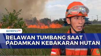 Karhutla di Banjarbaru, Petugas dan Relawan Padamkan Kebakaran Hutan | SAPA SIANG
