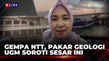 Gempa M 7,7 NTT, Pakar Geologi UGM Soroti Sesar Naik Busur Belakang Flores | KOMPAS PETANG