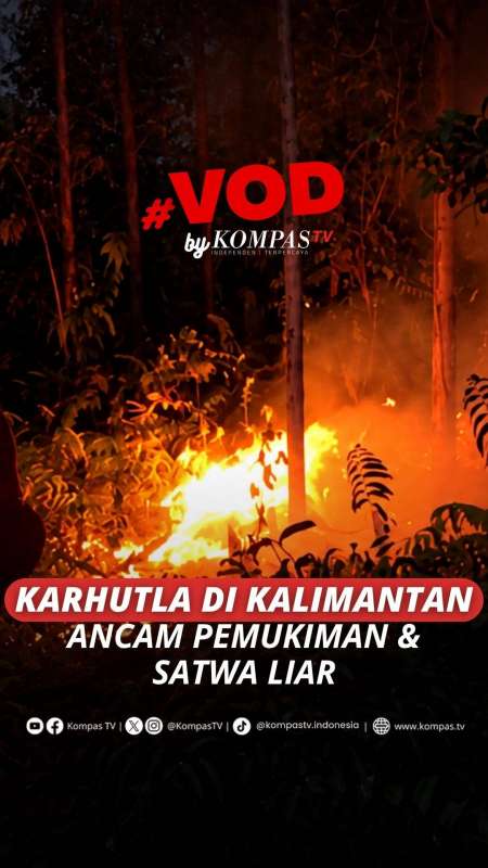 Karhutla Di Kalimantan Ancam Pemukiman & Satwa Liar