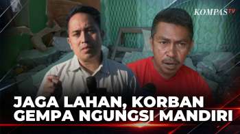 Khawatir Ternak Dicuri Dan Jaga Lahan, Korban Gempa Di NTT Pilih Mengungsi Mandiri | KOMPAS PETANG
