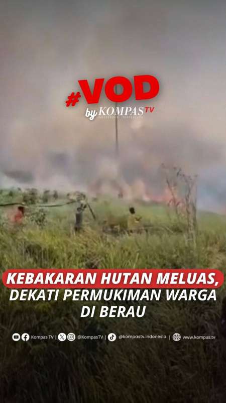 KEBAKARAN HUTAN MELUAS, DEKATI PERMUKIMAN WARGA DI BERAU