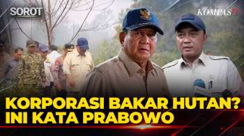 Respons Presiden Prabowo soal Korporasi yang Sengaja Bakar Hutan