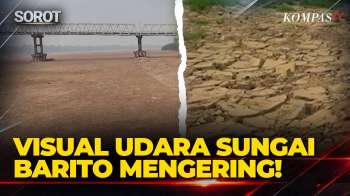 Penampakan Sungai Barito Kering Hingga Dasar Seperti Gurun Dampak El Nino