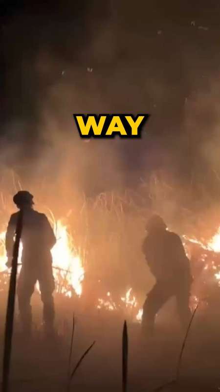 WAY KAMBAS TERBAKAR, HABITAT GAJAH & BADAK SUMATERA TERANCAM
