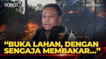 Polisi Tetapkan 72 Tersangka Kasus Karhutla Kalimantan-Sumatera, Begini Modusnya