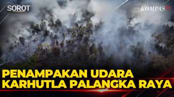 Penampakan Udara Karhutla Kepung Palangka Raya, Warga Terpapar Asap