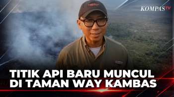 Titik Api Baru Muncul Di Taman Nasional Way Kambas, Personel Gabungan Padamkan Api