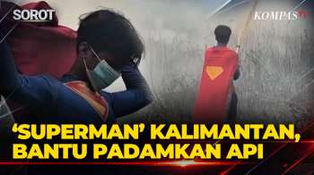 Viral! Aksi 'Superman' Kalimantan Bantu Padamkan Karhutla Palangka Raya