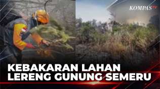 lereng-gunung-semeru-lumajang-terbakar-tim-gabungan-dikerahkan-padamkan-api-kompas-petang