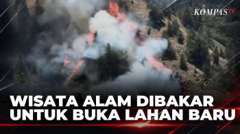 Gunung Latimojong Terbakar, Diduga Untuk Buka Lahan Baru, Api Meluas Hingga 33 Titik | KOMPAS PETANG