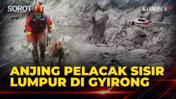 Anjing Pelacak Sisir Lumpur, Tim SAR Berpacu Dengan Waktu Cari Korban Gyirong