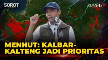 Titik Hotspot Naik, Menhut Raja Juli: Kalbar-Kalteng Jadi Prioritas