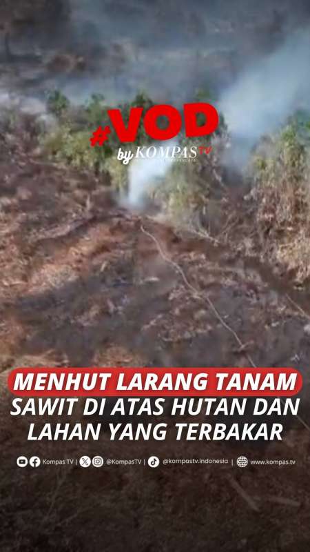 Menhut Larang Lahan Bekas Karhutla Dijadikan Perkebunan Sawit