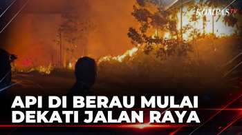 Karhutla Di Berau Meluas! Hingga Dekati Jalan Raya | BERITA UTAMA