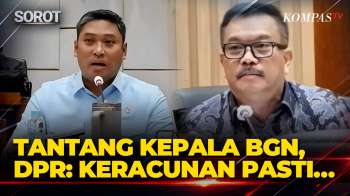 DPR Fraksi PDIP Tantang Taruhan Kepala BGN, Soroti Kasus Keracunan MBG Berulang