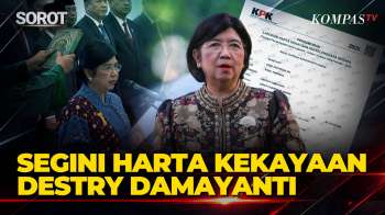 Jadi Gubernur BI, Segini Harta Kekayaan Destry Damayanti