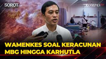 Wamenkes Dante Bicara Soal Keracunan MBG Bukan KLB & Soroti Perkara Karhutla