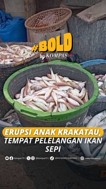 Dampak Erupsi Anak Krakatau, Aktivitas di Pelelangan Ikan Turun