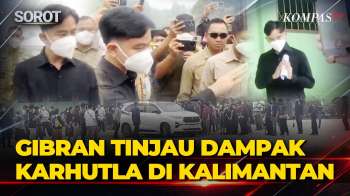 Dikepung Kabut Asap! Wapres Gibran Tinjau Kondisi Palangka Raya Kalbar