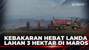Warga Panik! Kebakaran Hebat Landa Lahan 3 Hektar di Maros  | SAPA MALAM