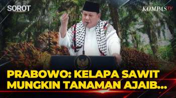 Presiden Prabowo: Kita Bisa Produksi Solar Sendiri, Kelapa Sawit Mungkin Tanaman Ajaib