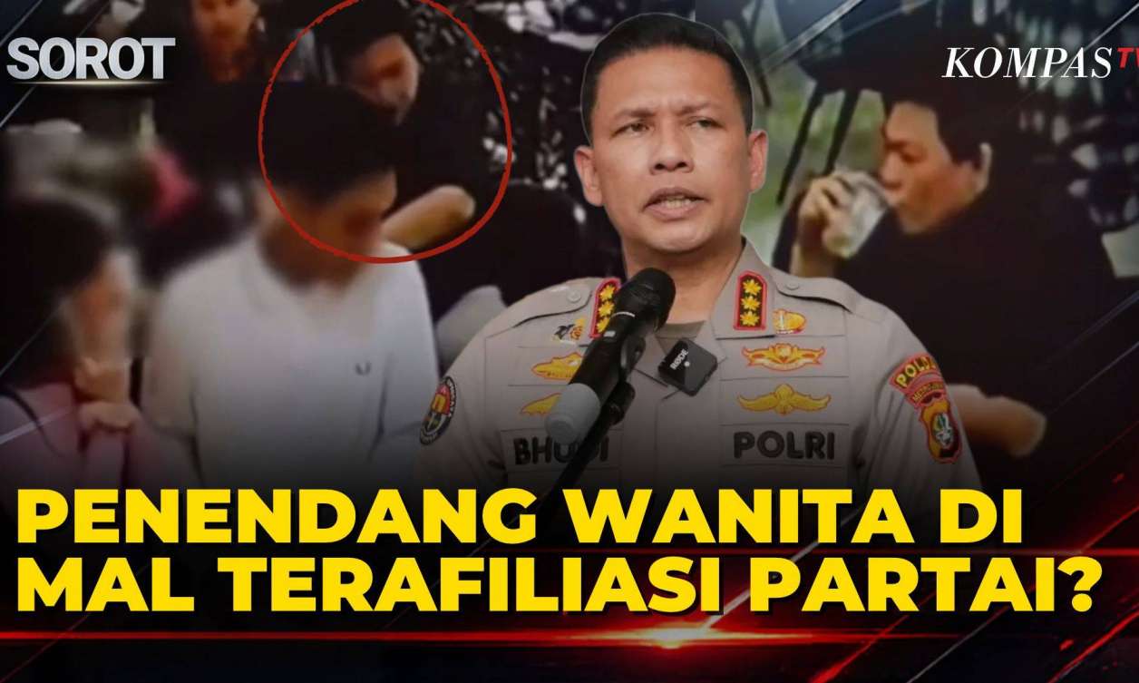 Pria Penendang Wanita di Mal Senayan City Terafiliasi Partai Politik?