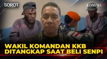 Detik-Detik TNI Tangkap Wakil Komandan KKB Di Yahukimo Saat Mau Beli Senjata Api