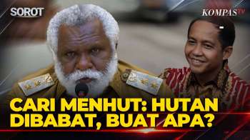 Geram! Wagub Papua Selatan Soroti Hutan Dibabat, Sambil Cari Menhut Raja Juli Di Rapat DPR