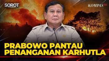 Prabowo Terima Laporan Penanganan Karhutla, Sisa 209,78 Hektare Terus Dipadamkan