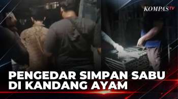 Sabu Disembunyikan di Kandang Ayam, 3 Pelaku Ditangkap Polisi di Bangkalan | BERITA UTAMA