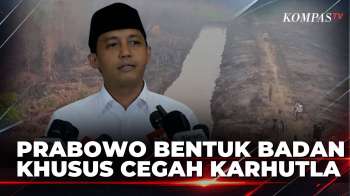 Cegah Karhutla, Pemerintah Siapkan Badan Pengelola Gambut dan Mangrove Nasional | KOMPAS MALAM