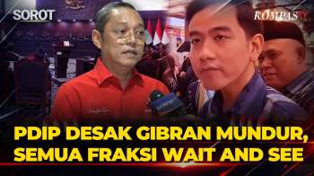 Hak Angket Ijazah Gibran! PDIP Bilang Semua Fraksi Masih Wait And See