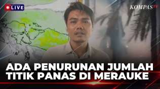 update-karhutla-di-merauke-bmkg-catat-penurunan-jumlah-titik-panas-dari-3-000-jadi-900-titik